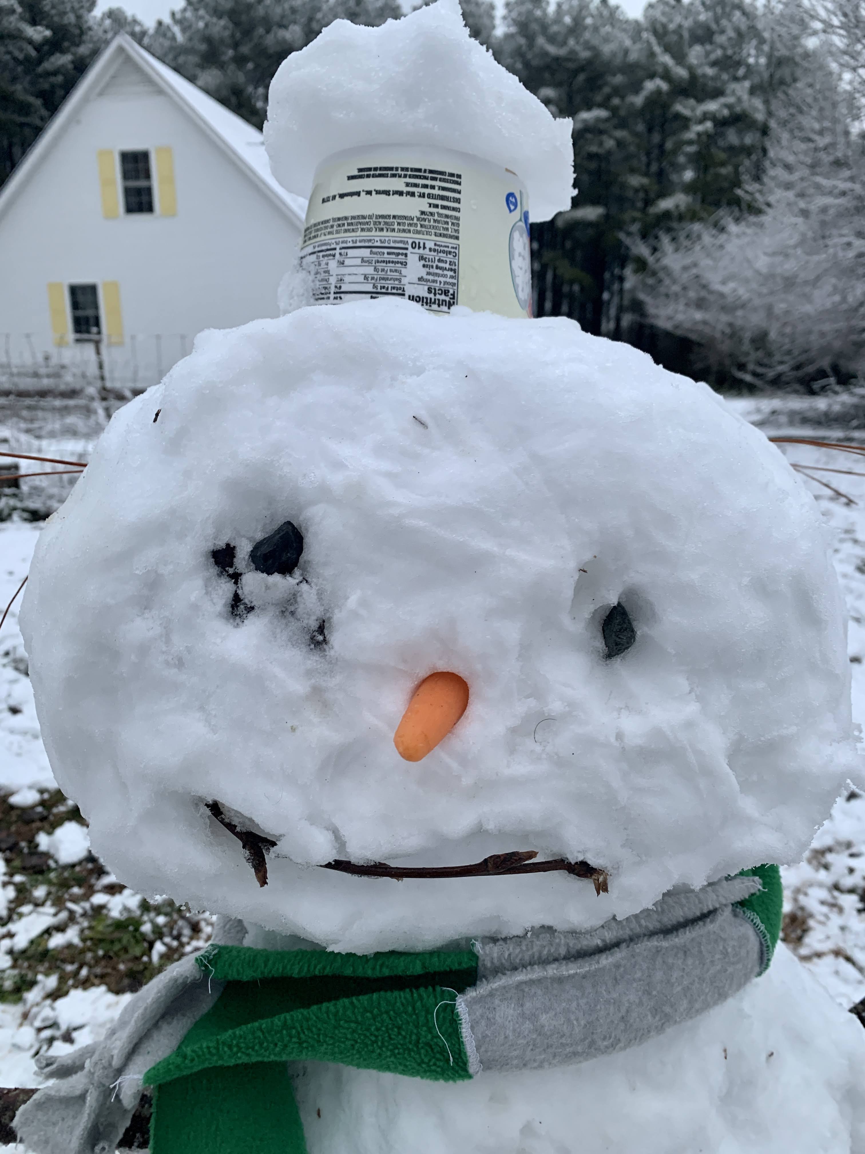 Snow Day